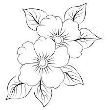 flower line drawing images browse
