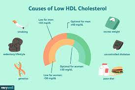 what causes low hdl cholesterol levels