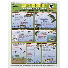 Waterproof Fishing Chart Freshwater Bait Rigging Bass