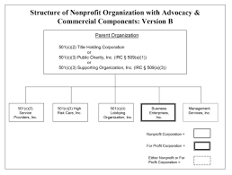 501 C 3 Parent Organization With Subsidiaries Hurwit