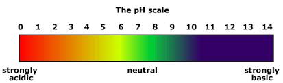 Acids And Bases 8 31 The Ph Scale