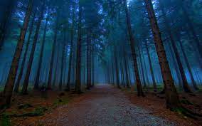 Mystical Forest Path HD desktop ...