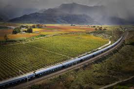 cape town and the garden route rovos rail