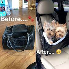 Diy Dog Stuff Dog Car Seats