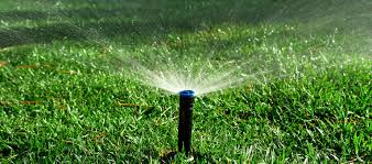 Lawn Irrigation The Basics
