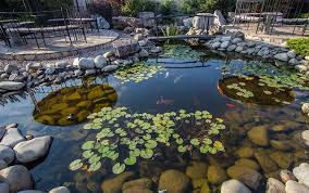 Cleaner Pond Water