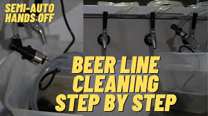 17 homemade beer line cleaner ideas you
