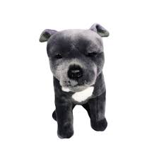 See more ideas about staffy dog, pitbull terrier, pitbulls. Storm The Blue Grey Staffy Staffordshire Bull Terrier Plush Toy