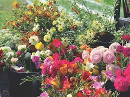 Finest Flowers And Fl Arrangements