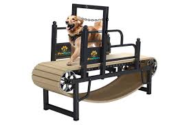 the 7 best treadmills for dogs of 2024