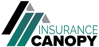 Insurance Canopy gambar png
