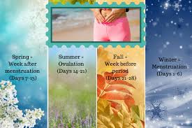 monthly seasons of our menstrual cycles