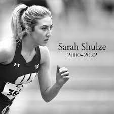 Sarah Shulze: 2000-2022