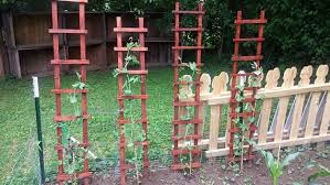 Rustic Garden Trellis Ladder Wood 5 Ft