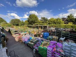 north yorkshire garden centre