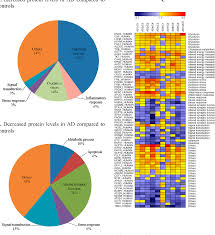 Figure 3 From Quantification Of The Brain Proteome In