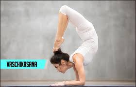 9 yoga asanas for beginners