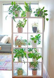 13 indoor plant shelf ideas you ll want