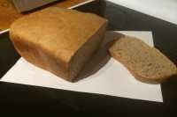 honey spelt bread machine bread recipe
