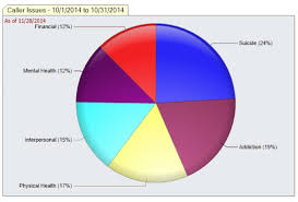 Icarol Software For Non Profits Pie Chart Drilled Sub