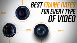 the best frame rates for every type of