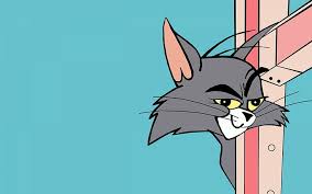 1tomjerry Animation Cartoon Cat