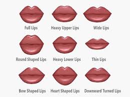 lip augmentation cost in india