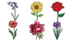 44 flowers drawing ideas for beginners