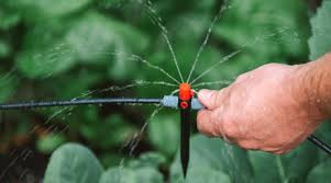 install a diy drip irrigation system