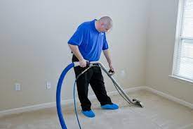 carpet upholstery cleaning nzrs