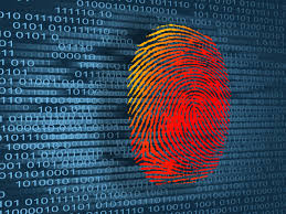 Identity Theft Statistics Panda Security