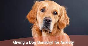 benadryl for dogs during fireworks