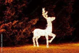 Reindeer Deer With Lights