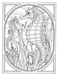 Click here to download the page above. Seahorse Adult Coloring Pages Coloring Home