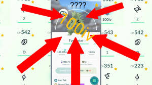 Tyranitar Iv Chart I Think Nests Have A Specific Range
