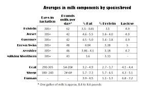 Comparison Of The Dairy Breeds Spirited Rose Homestead
