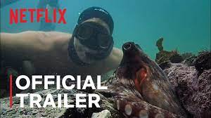 A filmmaker forges an unusual friendship with an octopus living in a south african kelp forest, learning. My Octopus Teacher Official Trailer Netflix Youtube