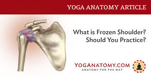frozen shoulder anatomy shefalitayal