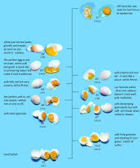 Dave Arnolds Egg Chart Which Appeared In Lucky Peach In