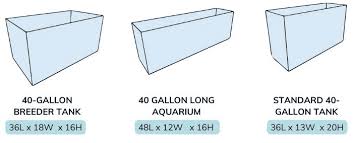 40 gallon fish tank dimensions length