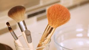 cleaning makeup brushes with dr