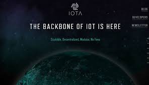 Buying Iota Miota Quick Safe And Cheap Our Experiences