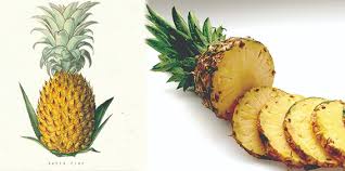 status pineapple