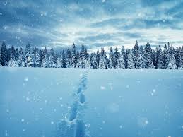 Winter Scenes | Celebrating the Beauty of Winter | Art & Home