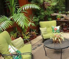 Grow And Care For Potted Palm Trees