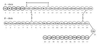 Lantus Insulin Glargine Rdna Origin Injection Side