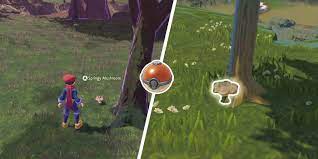 Pokémon Legends: Arceus - How To Get (& Use) Springy Mushrooms