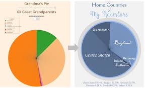 Make A Pie Chart Of Your Ancestors Home Countries With