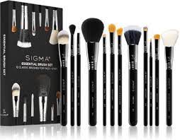 sigma beauty essential brush set