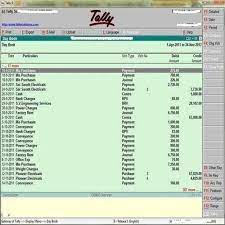tally based accounting software